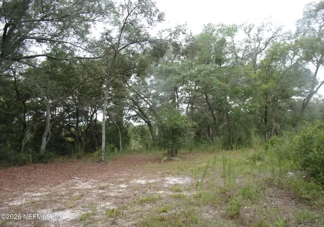 Homes for sale in Satsuma, FL | 164 Lake Circle, Satsuma, FL 32189 | MLS# 2150102