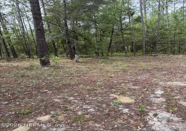 Photo 1 of Land for sale at 4477 M Lake Rd, Keystone Heights, FL 32656 | MLS# 2149828 | Listing updated on 2026-08-13