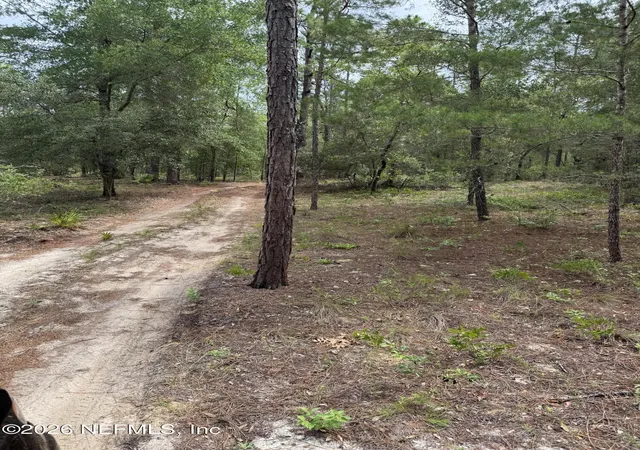 Photo 2 of Land for sale at 4477 M Lake Rd, Keystone Heights, FL 32656 | MLS# 2149828 | Listing updated on 2026-08-13