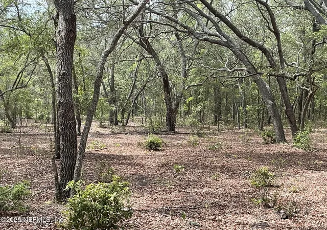 Photo 2 of Land for sale at 1643 State Rd 20, Hawthorne, FL 32640 | MLS# 2149733 | Listing updated on 2026-09-09