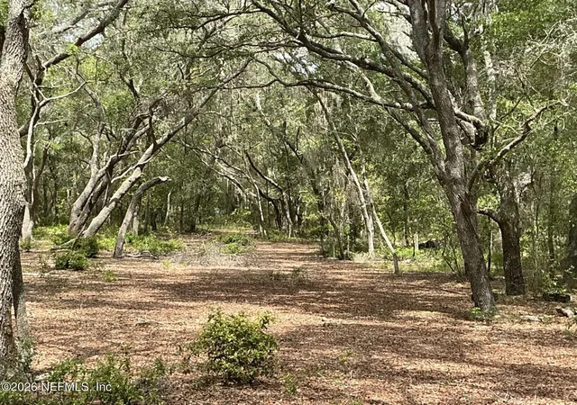Photo 3 of Land for sale at 1643 State Rd 20, Hawthorne, FL 32640 | MLS# 2149733 | Listing updated on 2026-09-09