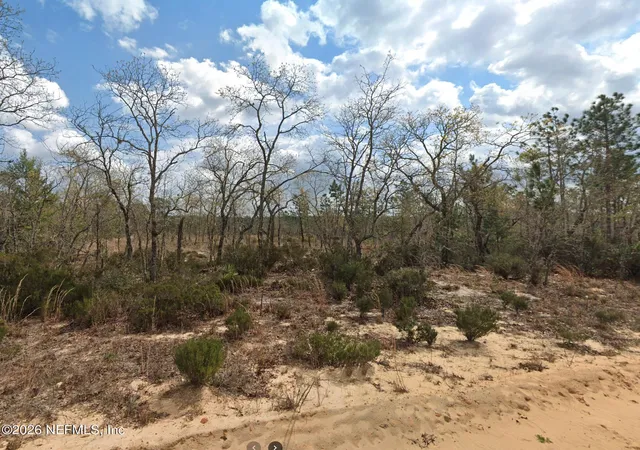 Photo 3 of Land for sale at 224 Salem Trl, Interlachen, FL 32148 | MLS# 2149903 | Listing updated on 2026-06-10