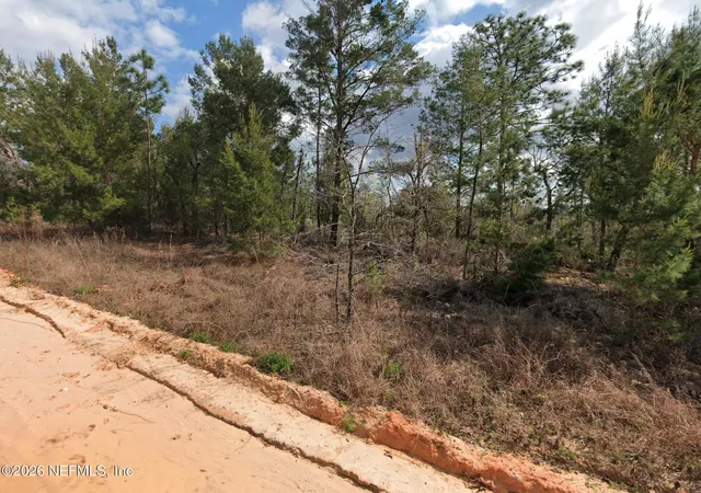 Photo 3 of Land for sale at 214 Akron St, Interlachen, FL 32148 | MLS# 2149986 | Listing updated on 2026-06-11