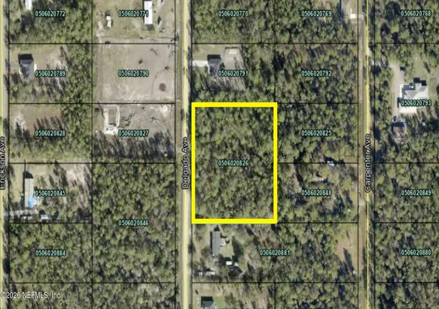 Homes for sale in Hastings, FL | 10270 Delgado Ave, Hastings, FL 32145 | MLS# 2150456