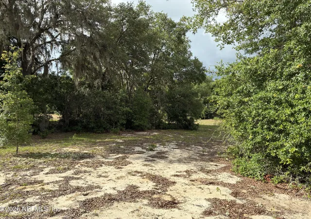 3rd image of 0220 Chesser Monroe Rd, Hawthorne, FL 32640 | MLS# 2150335
