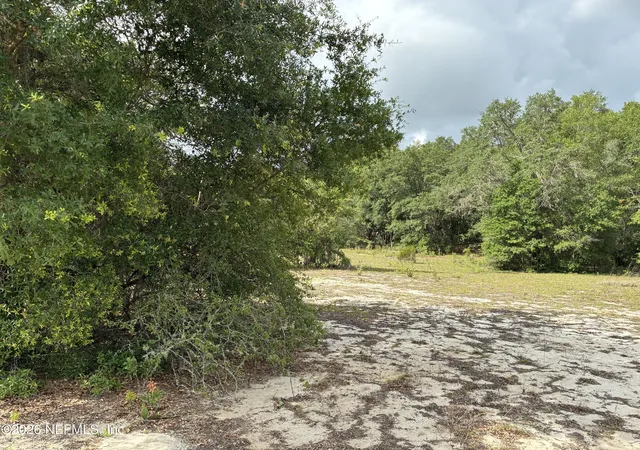 4th image of 0220 Chesser Monroe Rd, Hawthorne, FL 32640 | MLS# 2150335
