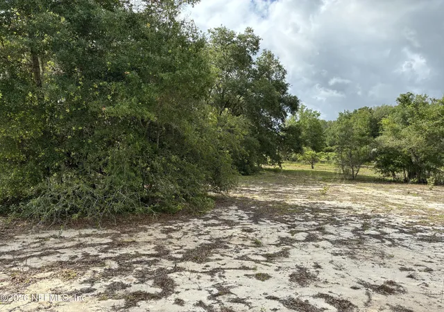 5th image of 0220 Chesser Monroe Rd, Hawthorne, FL 32640 | MLS# 2150335