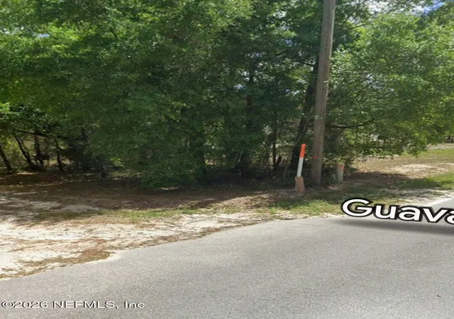 1st image of 206 Guava Avenue, Pomona Park, FL 32181 | MLS# 2150346