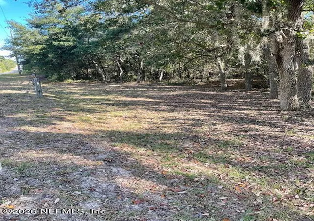 3rd image of 206 Guava Avenue, Pomona Park, FL 32181 | MLS# 2150346