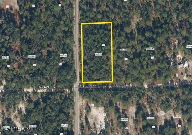 5th image of 206 Guava Avenue, Pomona Park, FL 32181 | MLS# 2150346
