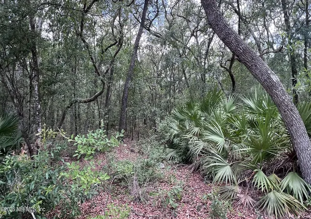 Photo 1 of Land for sale at 1107 Usina Ave, Interlachen, FL 32148 | MLS# 2150380 | Listing updated on 2026-06-16
