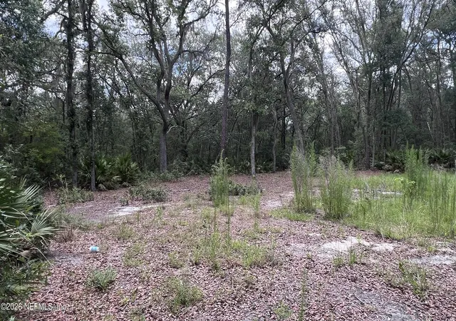 Photo 2 of Land for sale at 1107 Usina Ave, Interlachen, FL 32148 | MLS# 2150380 | Listing updated on 2026-06-16