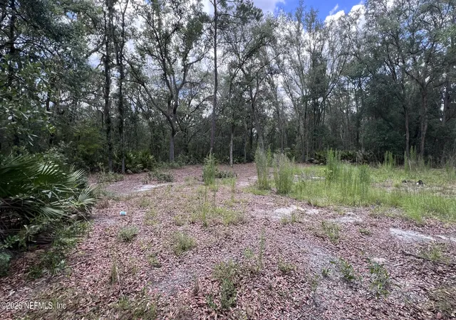 Photo 3 of Land for sale at 1107 Usina Ave, Interlachen, FL 32148 | MLS# 2150380 | Listing updated on 2026-06-16