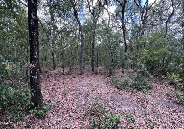 Photo 3 of Land for sale at 1107 Usina Ave, Interlachen, FL 32148 | MLS# 2150380 | Listing updated on 2026-06-16