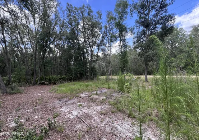 Photo 4 of Land for sale at 1107 Usina Ave, Interlachen, FL 32148 | MLS# 2150380 | Listing updated on 2026-06-16