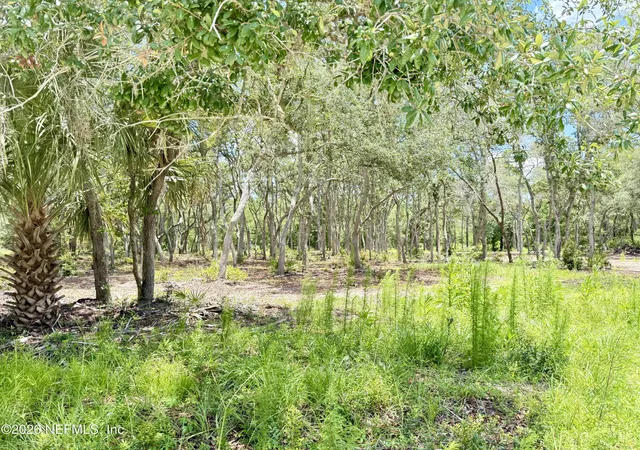 Photo 5 of Land for sale at 438 Chamberlain Rd, Satsuma, FL 32189 | MLS# 2150455 | Listing updated on 2026-07-23