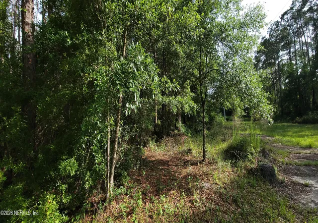 Photo 2 of Land for sale at 0 Maryland Ave, Jacksonville, FL 32234 | MLS# 2150538 | Listing updated on 2026-06-14