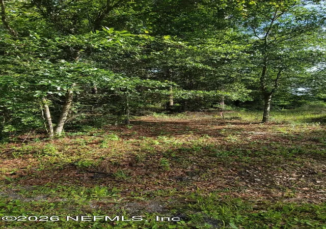 Photo 3 of Land for sale at 0 Maryland Ave, Jacksonville, FL 32234 | MLS# 2150538 | Listing updated on 2026-06-14