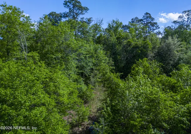 11th image of 000 Sr 121, Raiford, FL 32083 | MLS# 2150942
