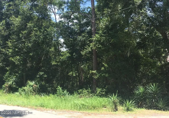 Photo 3 of Land for sale at 320 Alabama Ave, Palatka, FL 32177 | MLS# 2150915 | Listing updated on 2026-06-16