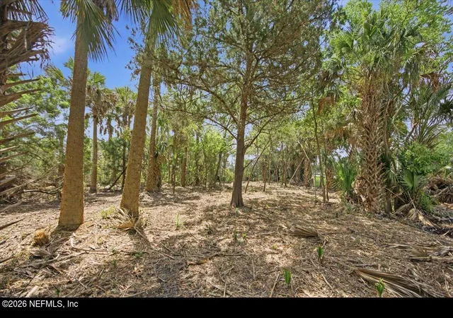 Homes for sale in Saint Augustine, FL | 3258 Lewis Speedway, Saint Augustine, FL 32084 | MLS# 2151398