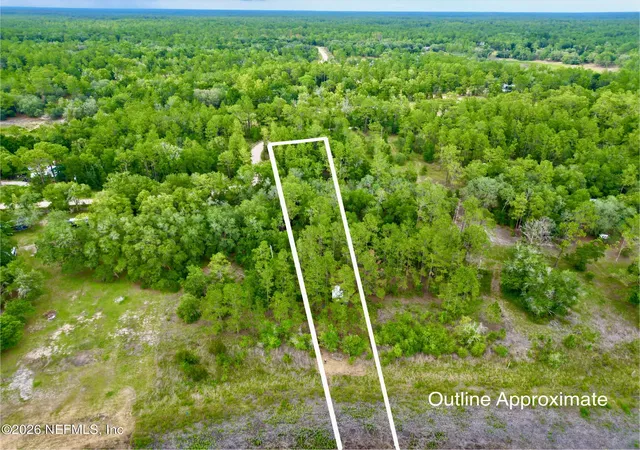 40th image of 0 Silver Dollar Pond Rd, Hawthorne, FL 32640 | MLS# 2153701