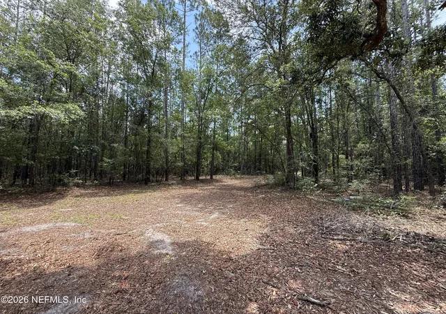Photo 3 of Land for sale at 15422 Bullock Blf Rd, Bryceville, FL 32009 | MLS# 2151565 | Listing updated on 2026-09-17