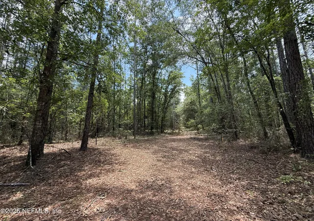 Photo 4 of Land for sale at 15422 Bullock Blf Rd, Bryceville, FL 32009 | MLS# 2151565 | Listing updated on 2026-09-17
