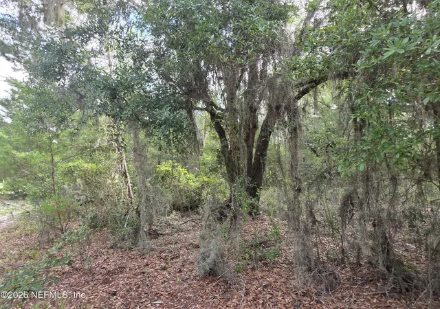 25th image of 100 Quail Acre Rd, Pomona Park, FL 32181 | MLS# 2151575