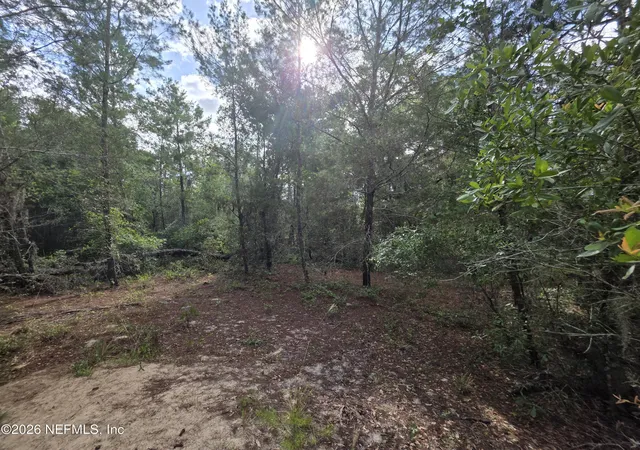 5th image of 100 Quail Acre Rd, Pomona Park, FL 32181 | MLS# 2151575