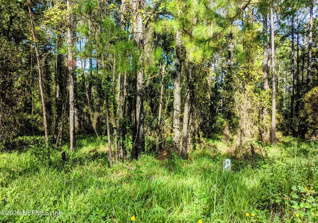 2nd image of 000 Ne Us Hwy 301, Waldo, FL 32694 | MLS# 2152205