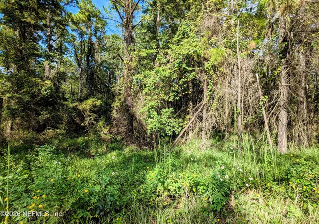 4th image of 000 Ne Us Hwy 301, Waldo, FL 32694 | MLS# 2152205