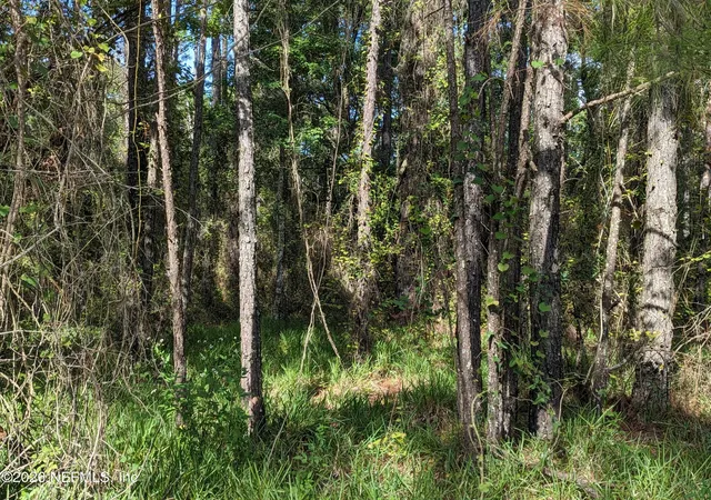 5th image of 000 Ne Us Hwy 301, Waldo, FL 32694 | MLS# 2152205