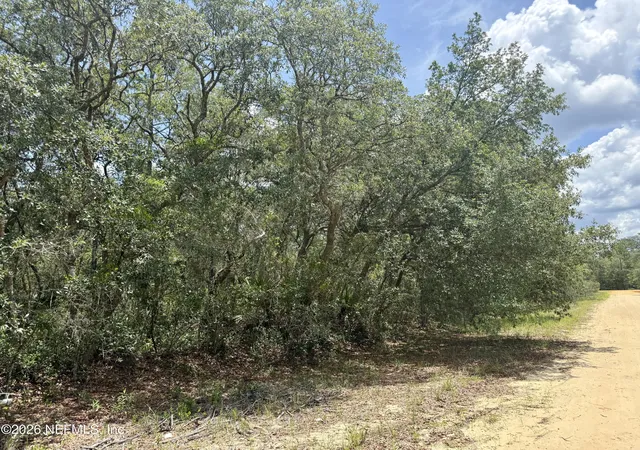 Photo 3 of Land for sale at Xxx Wallace St, Interlachen, FL 32148 | MLS# 2152582 | Listing updated on 2026-06-26