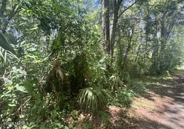 Homes for sale in Green Cove Springs, FL | 205 Washington Ave, Green Cove Springs, FL 32043 | MLS# 2152574