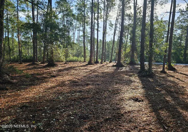 Photo 1 of Land for sale at 211 Georgetown Denver Rd, Georgetown, FL 32139 | MLS# 2152614 | Listing updated on 2026-06-26