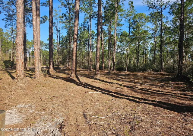 Photo 2 of Land for sale at 211 Georgetown Denver Rd, Georgetown, FL 32139 | MLS# 2152614 | Listing updated on 2026-06-26
