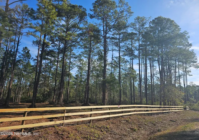 Photo 4 of Land for sale at 211 Georgetown Denver Rd, Georgetown, FL 32139 | MLS# 2152614 | Listing updated on 2026-06-26
