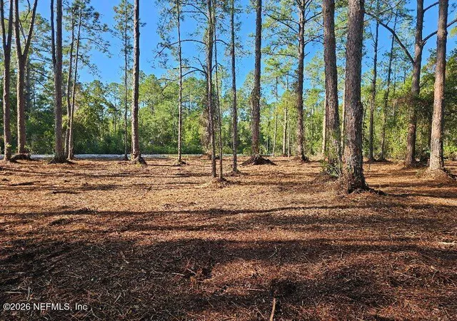 Photo 5 of Land for sale at 211 Georgetown Denver Rd, Georgetown, FL 32139 | MLS# 2152614 | Listing updated on 2026-06-26