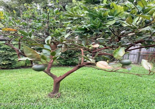 Photo 18 of Single family home for sale at 5060 Carmel Dr, Jacksonville, FL 32244 | MLS# 2152805 | Listing updated on 2026-09-14