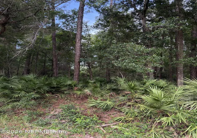 Homes for sale in Georgetown, FL | 102 Caroline Blvd, Georgetown, FL 32139 | MLS# 2153090