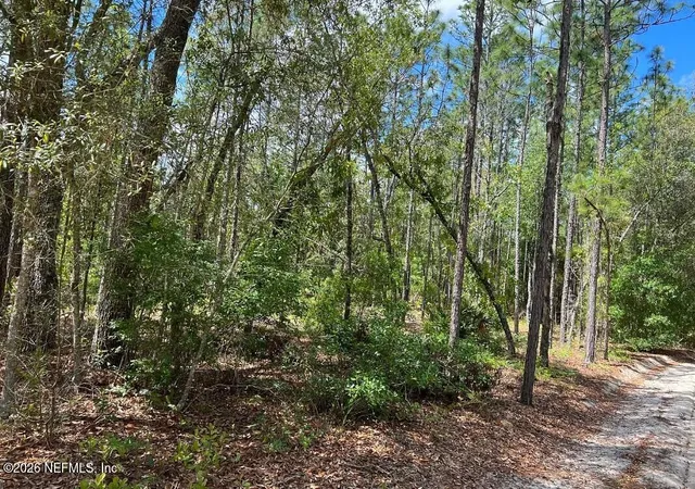 2nd image of 0000 Lady Bug Ln, Melrose, FL 32666 | MLS# 2153434