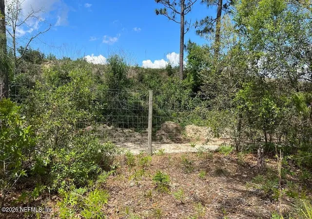 3rd image of 0000 Lady Bug Ln, Melrose, FL 32666 | MLS# 2153434