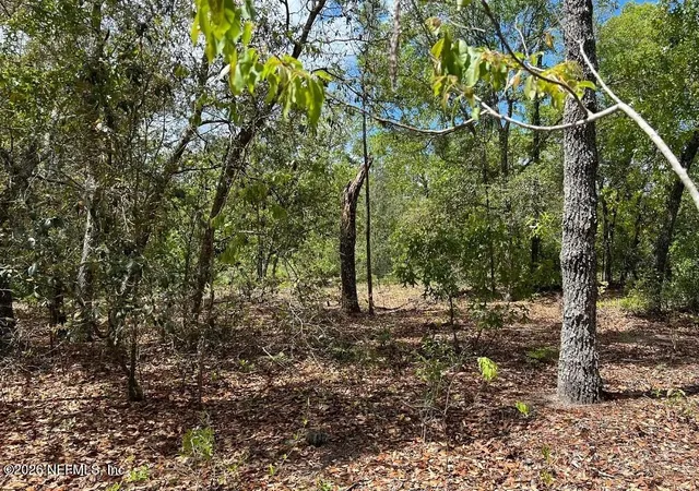4th image of 0000 Lady Bug Ln, Melrose, FL 32666 | MLS# 2153434