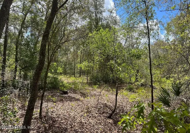 5th image of 0000 Lady Bug Ln, Melrose, FL 32666 | MLS# 2153434