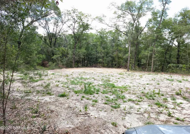 11th image of 238 Keuka Rd, Interlachen, FL 32148 | MLS# 2153436