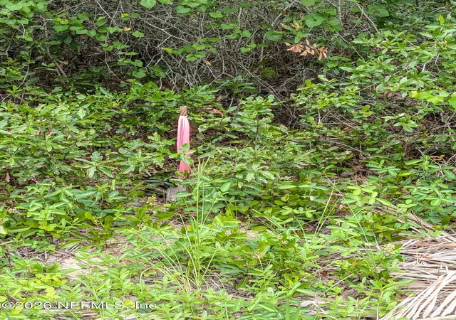 5th image of 238 Keuka Rd, Interlachen, FL 32148 | MLS# 2153436