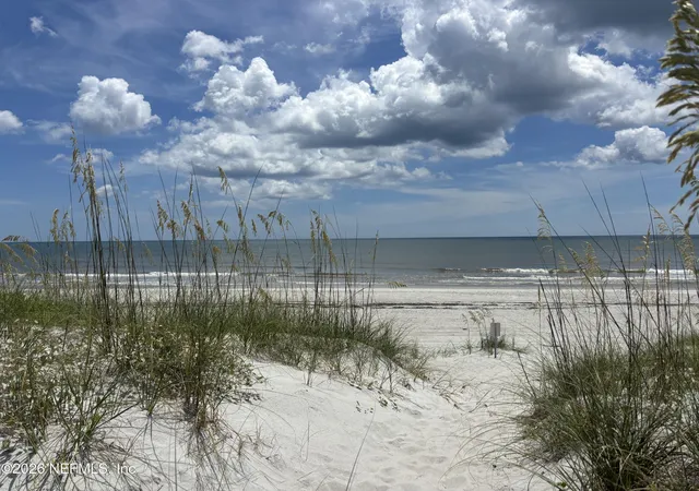 Photo 26 of Multi family home for sale at 115 Azalea Pl, Neptune Beach, FL 32266 | MLS# 2153518 | Listing updated on 2026-09-20