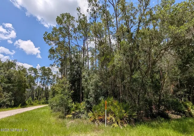 Homes for sale in Georgetown, FL | 301 Whispering Pines Rd, Georgetown, FL 32139 | MLS# 2153586