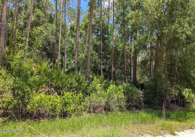 Homes for sale in Georgetown, FL | 301 Whispering Pines Rd, Georgetown, FL 32139 | MLS# 2153586